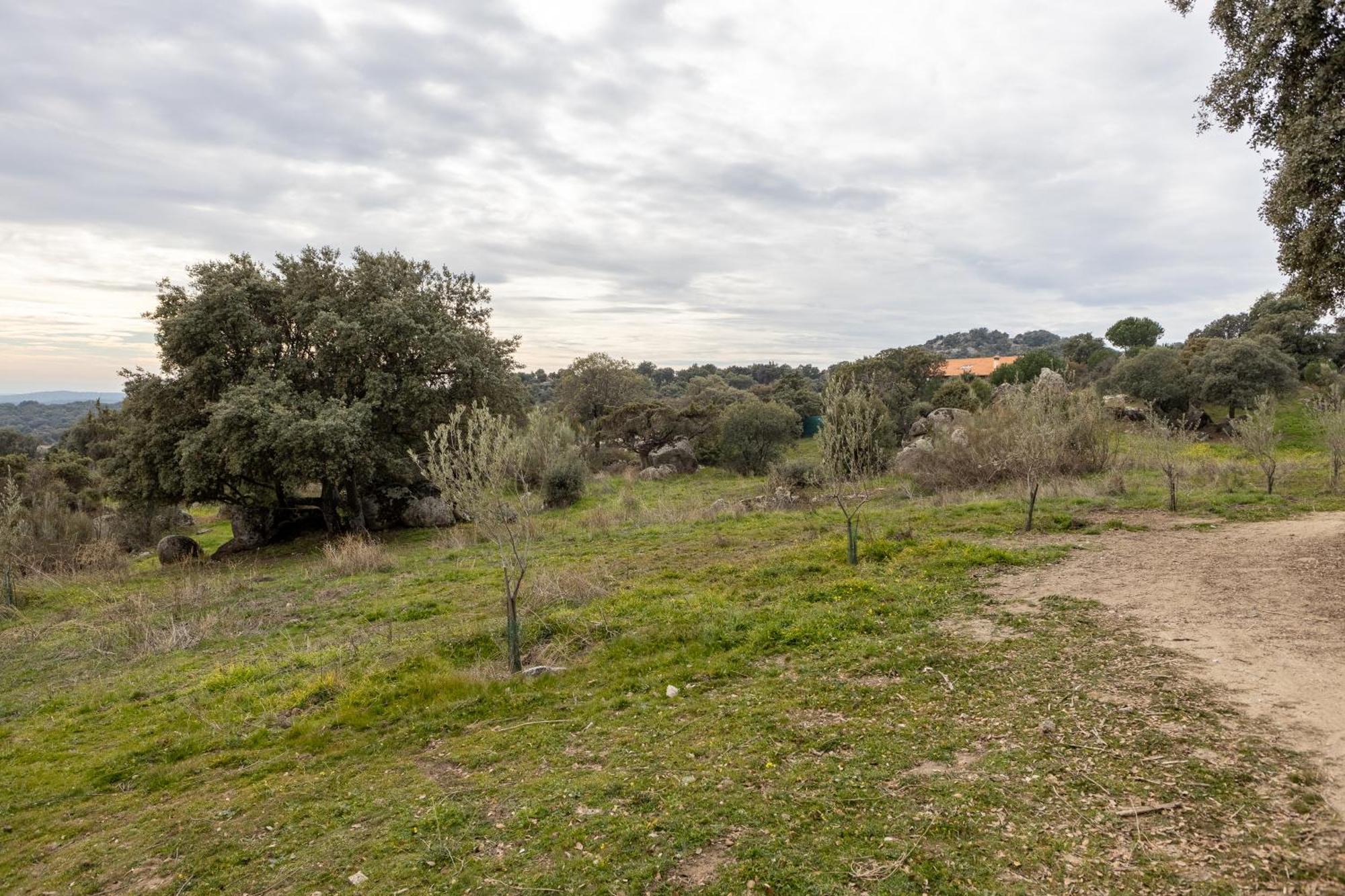 Finca El Olivo De Fresnedillas Fresnedillas de la Oliva Eksteriør billede